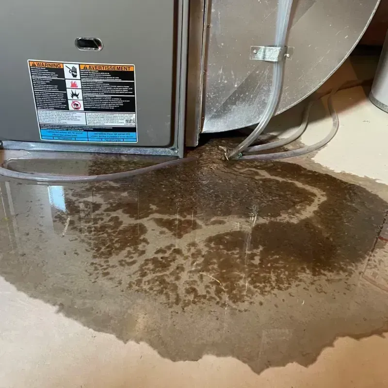 Appliance Leak Cleanup in Grayson County, KY